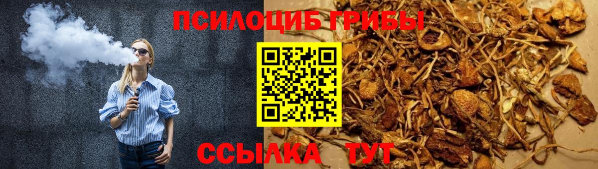 Псилоцибиновые грибы мухоморы Губаха