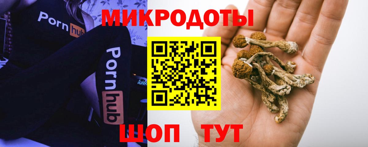 Псилоцибиновые грибы MAGIC MUSHROOMS  Галлюциногенные грибы Magic Shrooms  Губаха  Вход с VPN 